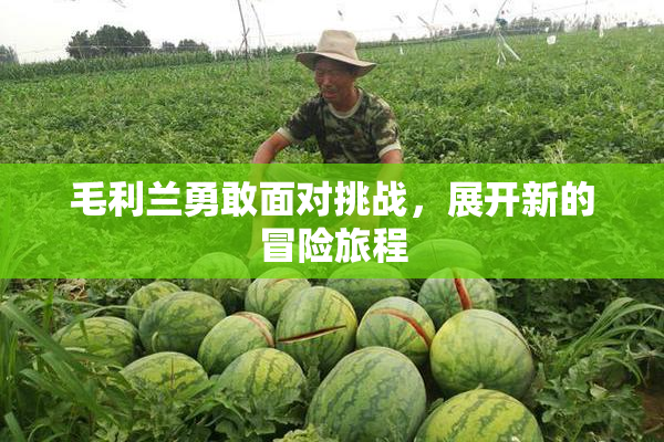 毛利兰勇敢面对挑战，展开新的冒险旅程