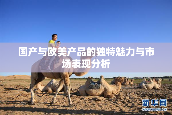 国产与欧美产品的独特魅力与市场表现分析
