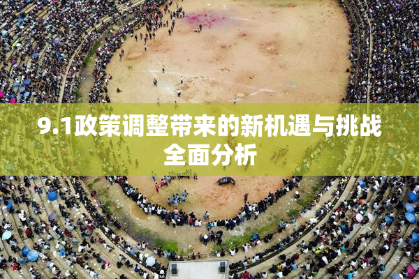 9.1政策调整带来的新机遇与挑战全面分析