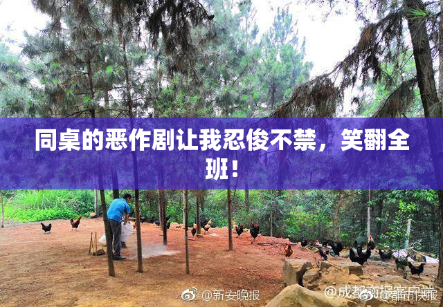 同桌的恶作剧让我忍俊不禁，笑翻全班！