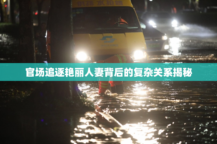 官场追逐艳丽人妻背后的复杂关系揭秘