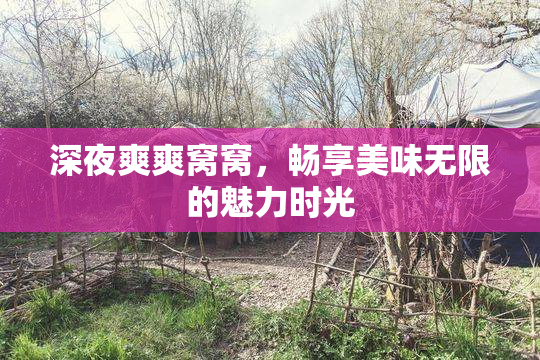 深夜爽爽窝窝，畅享美味无限的魅力时光