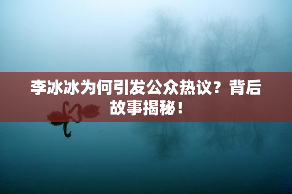 李冰冰为何引发公众热议？背后故事揭秘！
