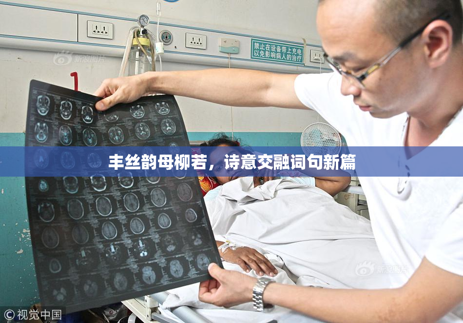 丰丝韵母柳若，诗意交融词句新篇