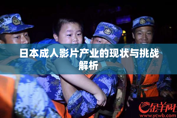 日本成人影片产业的现状与挑战解析