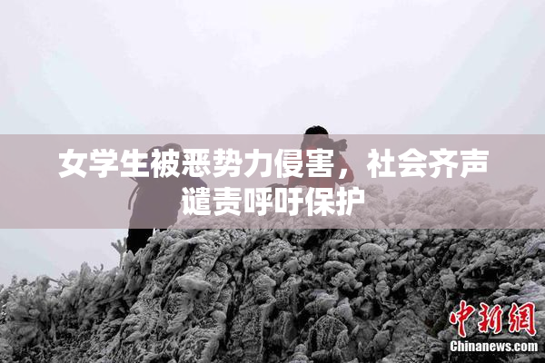 女学生被恶势力侵害，社会齐声谴责呼吁保护