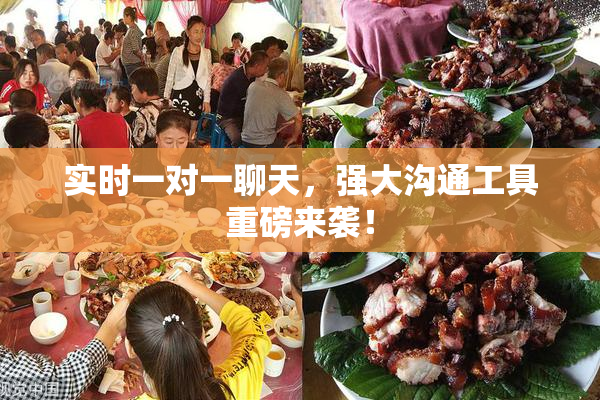 实时一对一聊天，强大沟通工具重磅来袭！
