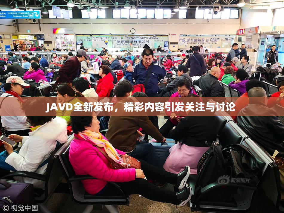 JAVD全新发布，精彩内容引发关注与讨论