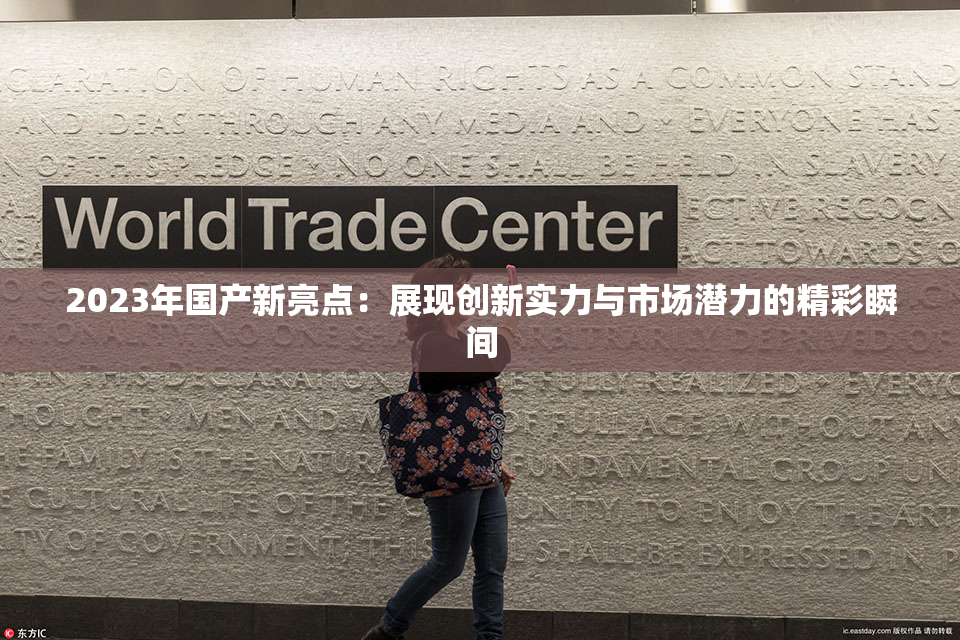 2023年国产新亮点：展现创新实力与市场潜力的精彩瞬间