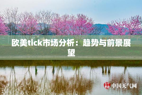 欧美tick市场分析：趋势与前景展望