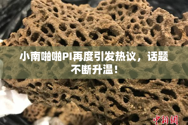 小南啪啪PI再度引发热议，话题不断升温！