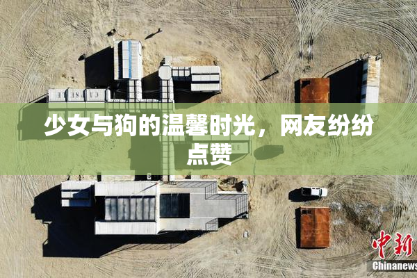 少女与狗的温馨时光，网友纷纷点赞