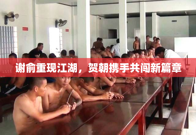 谢俞重现江湖，贺朝携手共闯新篇章
