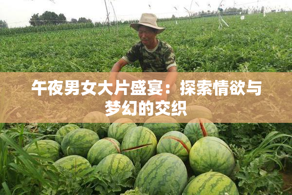 午夜男女大片盛宴：探索情欲与梦幻的交织
