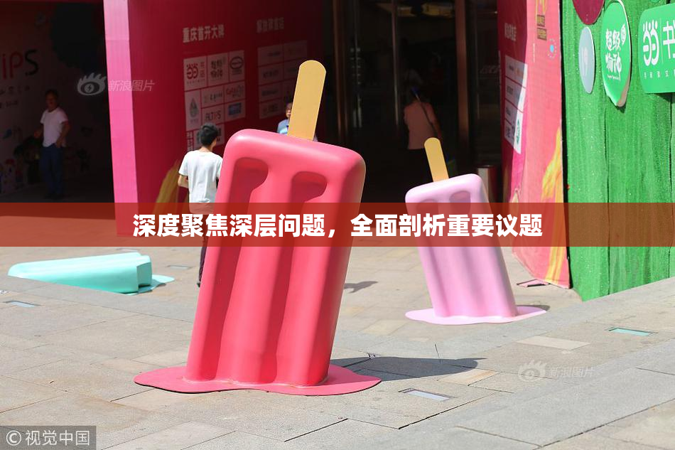 深度聚焦深层问题，全面剖析重要议题