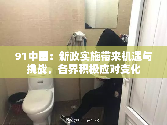 91中国：新政实施带来机遇与挑战，各界积极应对变化