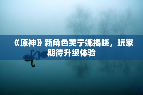 《原神》新角色芙宁娜揭晓，玩家期待升级体验
