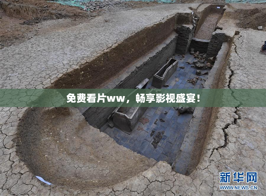 免费看片ww，畅享影视盛宴！