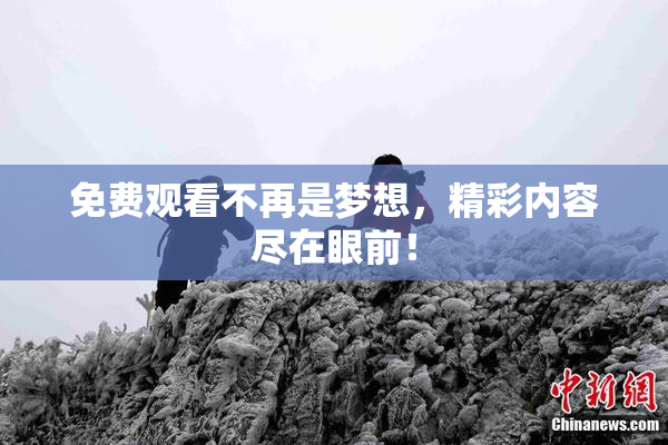 免费观看不再是梦想，精彩内容尽在眼前！