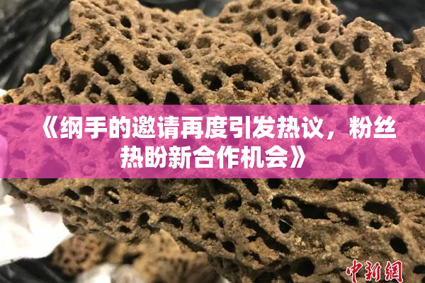 《纲手的邀请再度引发热议，粉丝热盼新合作机会》