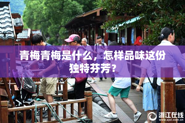 青梅青梅是什么，怎样品味这份独特芬芳？