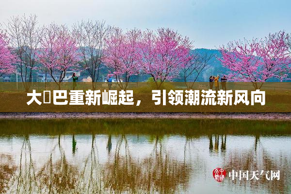 大鳮巴重新崛起，引领潮流新风向