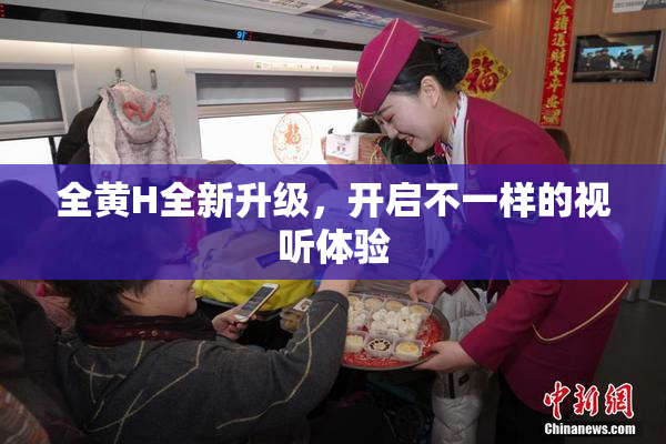 全黄H全新升级，开启不一样的视听体验