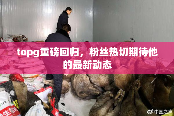 topg重磅回归，粉丝热切期待他的最新动态