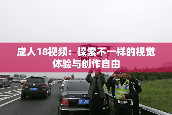 成人18视频：探索不一样的视觉体验与创作自由