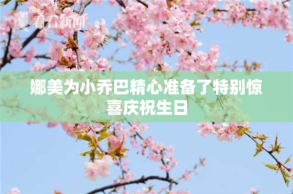 娜美为小乔巴精心准备了特别惊喜庆祝生日