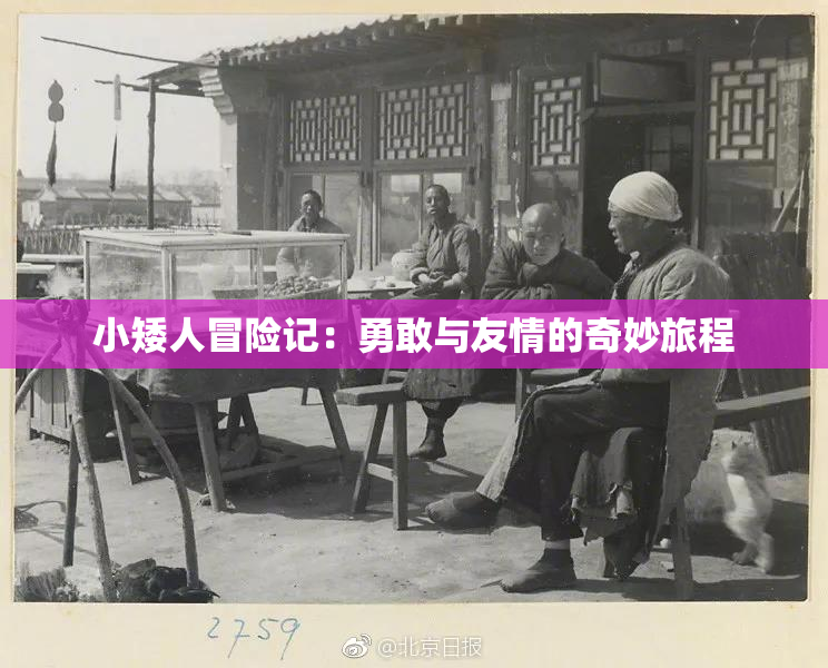 小矮人冒险记：勇敢与友情的奇妙旅程