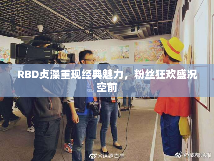RBD贞澡重现经典魅力，粉丝狂欢盛况空前