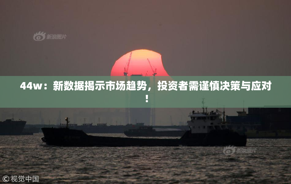 44w：新数据揭示市场趋势，投资者需谨慎决策与应对！