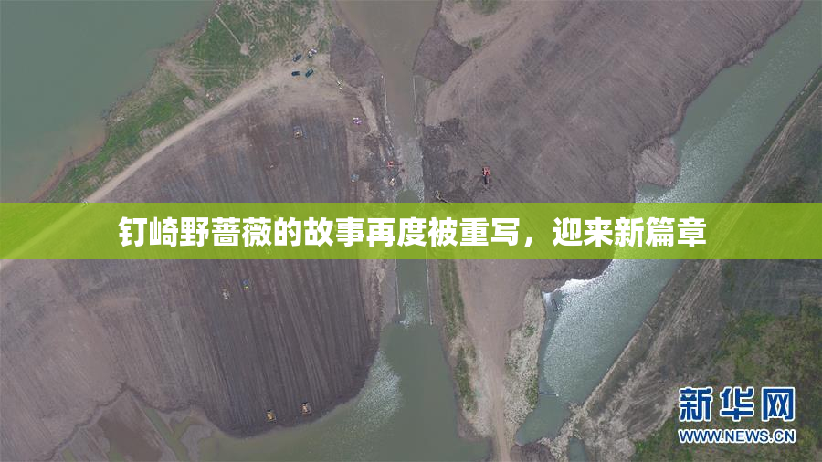 钉崎野蔷薇的故事再度被重写，迎来新篇章
