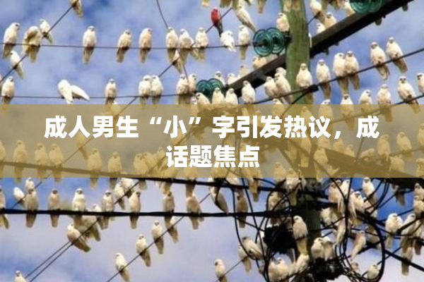 成人男生“小”字引发热议，成话题焦点