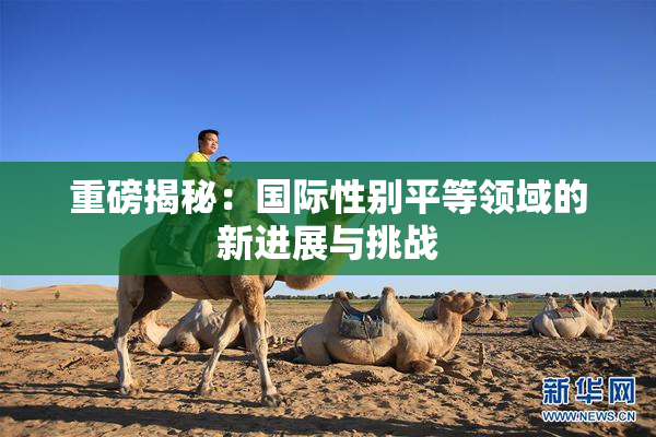 重磅揭秘：国际性别平等领域的新进展与挑战