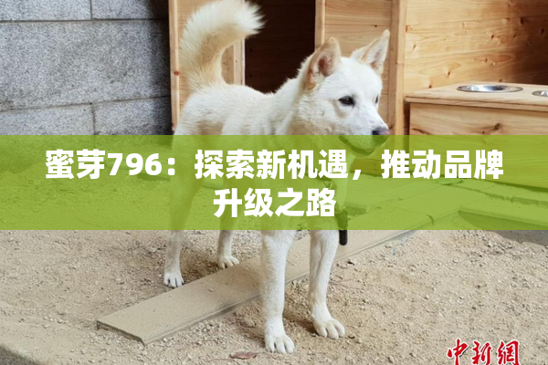 蜜芽796：探索新机遇，推动品牌升级之路