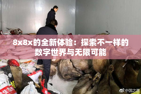 8x8x的全新体验：探索不一样的数字世界与无限可能
