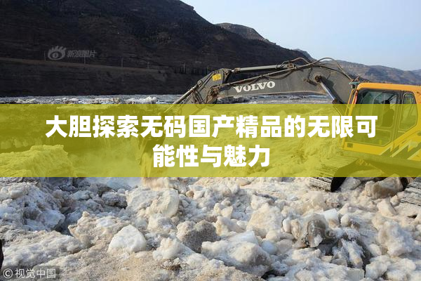 大胆探索无码国产精品的无限可能性与魅力