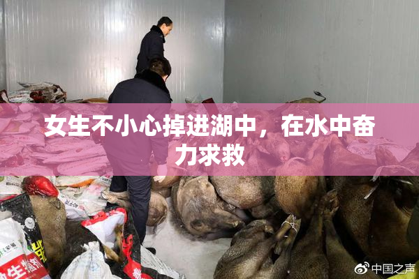 女生不小心掉进湖中，在水中奋力求救