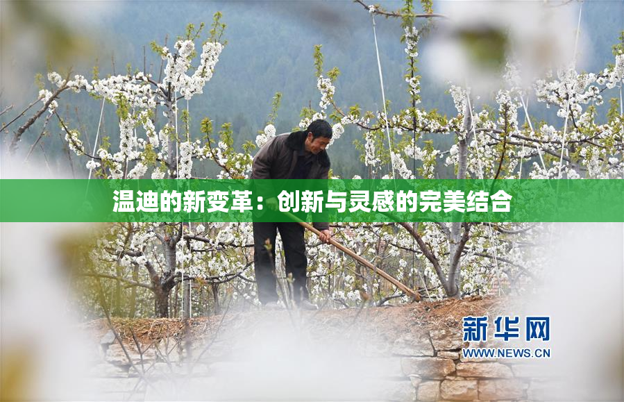 温迪的新变革：创新与灵感的完美结合
