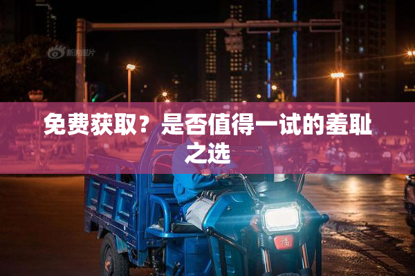 免费获取？是否值得一试的羞耻之选