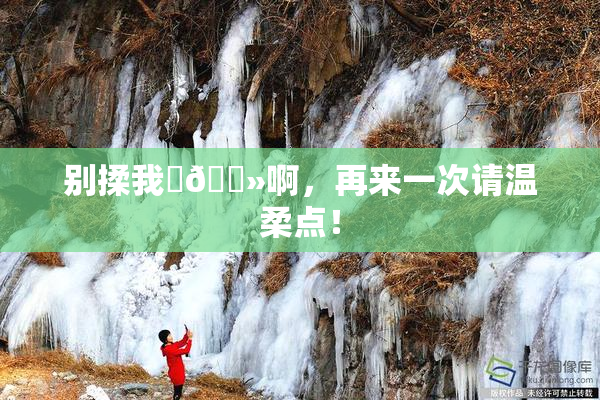 别揉我‌🐻啊，再来一次请温柔点！