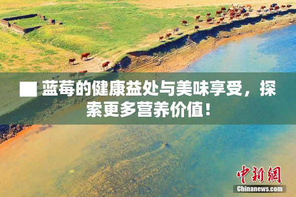 ▇ 蓝莓的健康益处与美味享受，探索更多营养价值！