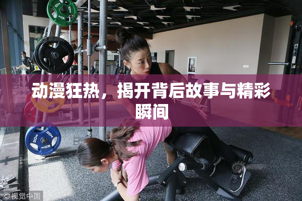 动漫狂热，揭开背后故事与精彩瞬间