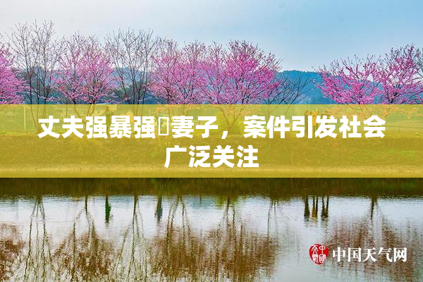 丈夫强暴强姦妻子，案件引发社会广泛关注