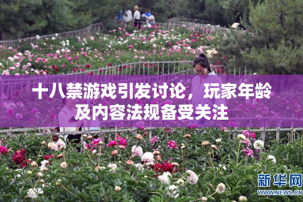 十八禁游戏引发讨论，玩家年龄及内容法规备受关注