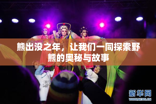 熊出没之年，让我们一同探索野熊的奥秘与故事
