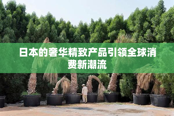 日本的奢华精致产品引领全球消费新潮流