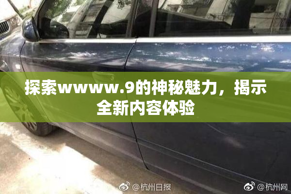 探索wwww.9的神秘魅力，揭示全新内容体验